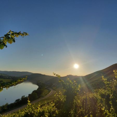 Ferienwohnungen Zum Niederberg Лизер Екстериор снимка