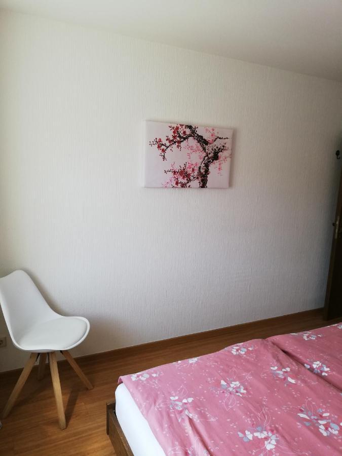 Ferienwohnungen Zum Niederberg Лизер Екстериор снимка