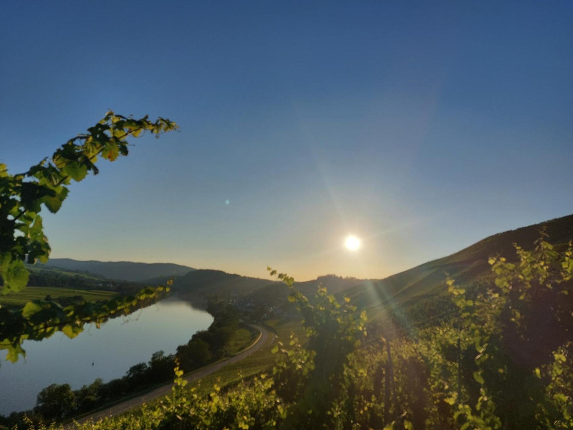 Ferienwohnungen Zum Niederberg Лизер Екстериор снимка