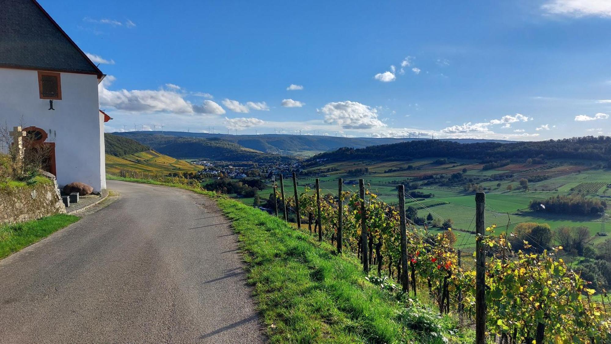 Ferienwohnungen Zum Niederberg Лизер Екстериор снимка