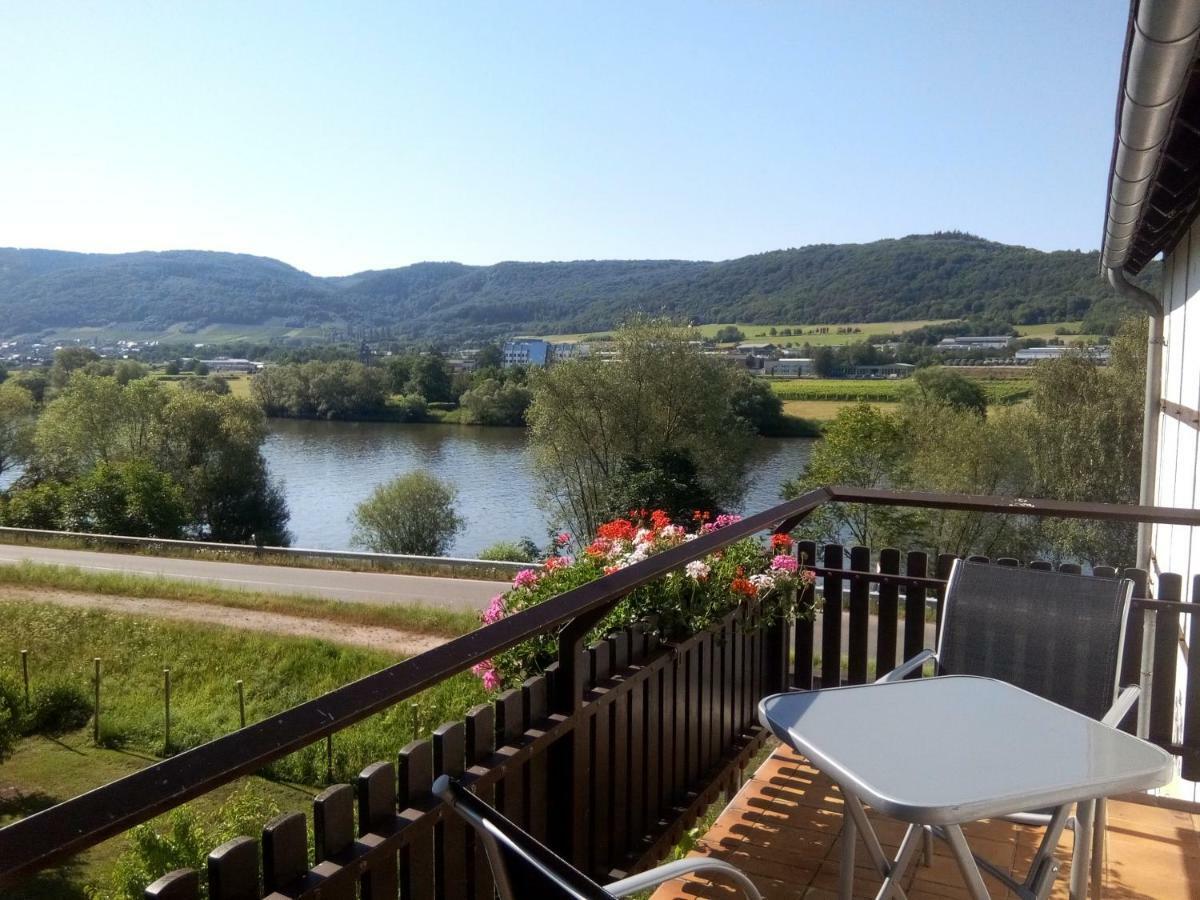 Ferienwohnungen Zum Niederberg Лизер Екстериор снимка